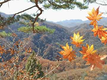 图木舒克最新疫情情况，防控措施与居民生活,图木舒克最新疫情情况
